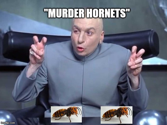 Dr. Evil Murder Hornets | "MURDER HORNETS" | image tagged in dr evil air quotes | made w/ Imgflip meme maker
