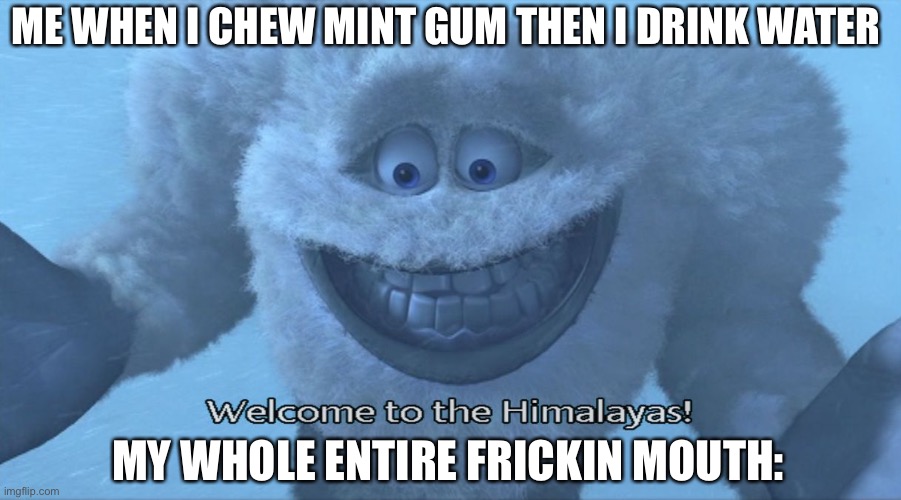 Welcome to the himalayas | ME WHEN I CHEW MINT GUM THEN I DRINK WATER; MY WHOLE ENTIRE FRICKIN MOUTH: | image tagged in welcome to the himalayas,so true meme,gum | made w/ Imgflip meme maker