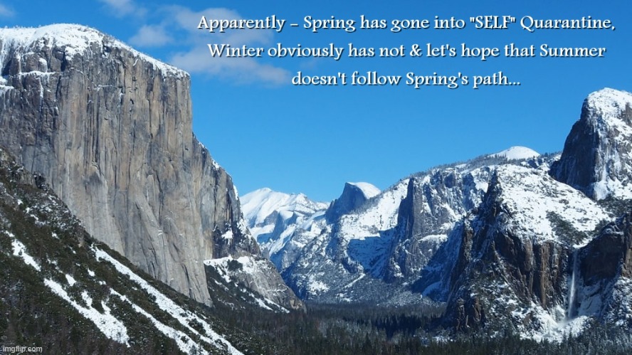 Spring in in Self Quarantine | image tagged in spring is self quarantined | made w/ Imgflip meme maker