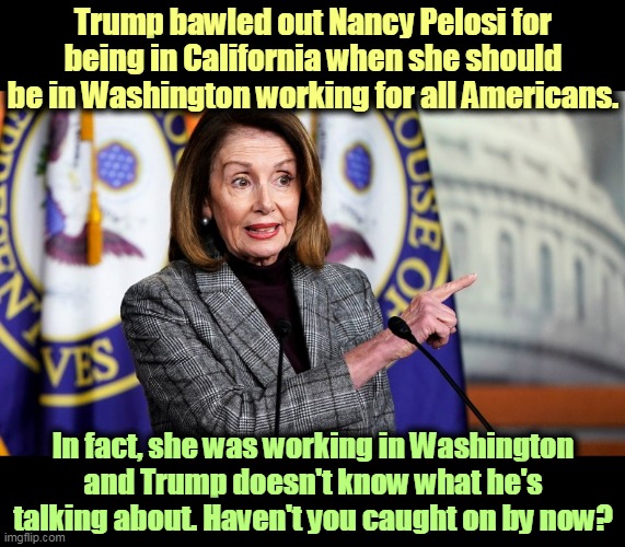 Trump NEVER knows what he's talking about. That man's ignorance is world-class. | Trump bawled out Nancy Pelosi for being in California when she should be in Washington working for all Americans. In fact, she was working in Washington and Trump doesn't know what he's talking about. Haven't you caught on by now? | image tagged in nancy pelosi in the capitol working for all americans,nancy pelosi,smart,trump,dumb | made w/ Imgflip meme maker