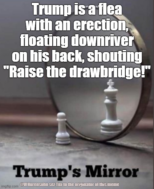 Trump is a flea with an erection, floating downriver on his back, shouting "Raise the drawbridge!"; @WHurensohn sez Tnx to the originator of this meme | image tagged in trump,flea,drawbridge | made w/ Imgflip meme maker