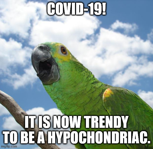 Hypochondria is cool | COVID-19! IT IS NOW TRENDY TO BE A HYPOCHONDRIAC. | image tagged in parrot1895013 | made w/ Imgflip meme maker