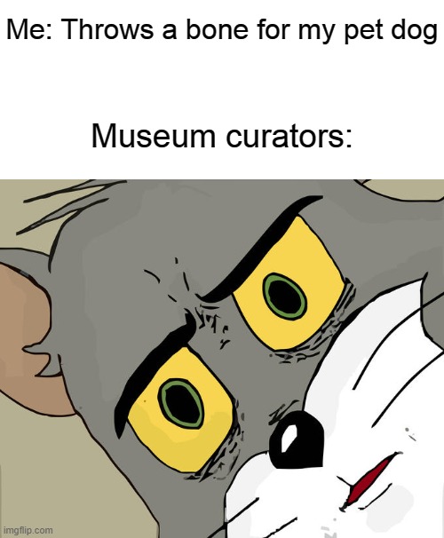 Unsettled Tom Meme | Me: Throws a bone for my pet dog; Museum curators: | image tagged in memes,unsettled tom,tom and jerry meme | made w/ Imgflip meme maker