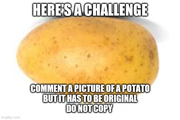 Potato | HERE'S A CHALLENGE; COMMENT A PICTURE OF A POTATO
BUT IT HAS TO BE ORIGINAL
DO NOT COPY | image tagged in challenge,do it of you're bored | made w/ Imgflip meme maker