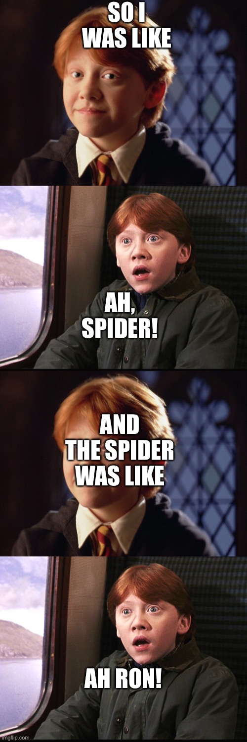 SO I WAS LIKE AH, SPIDER! AND THE SPIDER WAS LIKE AH RON! | image tagged in ron weasley,ron weasly | made w/ Imgflip meme maker