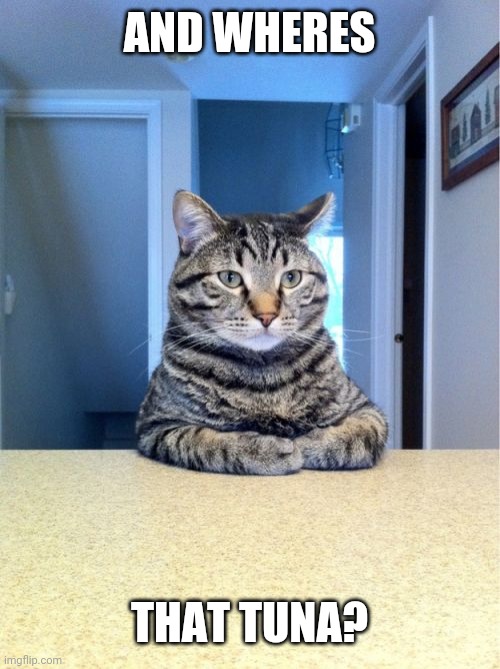 Take A Seat Cat Meme | AND WHERES; THAT TUNA? | image tagged in memes,take a seat cat | made w/ Imgflip meme maker