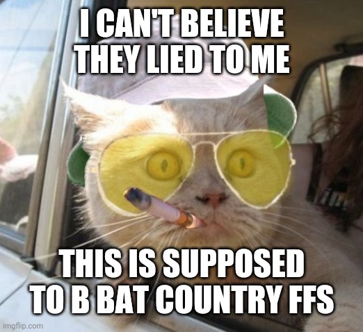 Fear And Loathing Cat | I CAN'T BELIEVE THEY LIED TO ME; THIS IS SUPPOSED TO B BAT COUNTRY FFS | image tagged in memes,fear and loathing cat | made w/ Imgflip meme maker