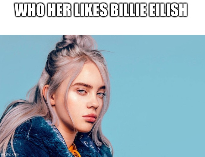 Billie Eilish Fan Memes