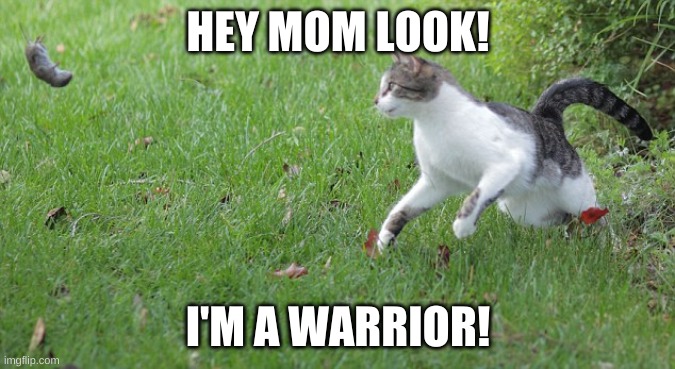 Warrior cat meme | HEY MOM LOOK! I'M A WARRIOR! | image tagged in warrior cat meme | made w/ Imgflip meme maker