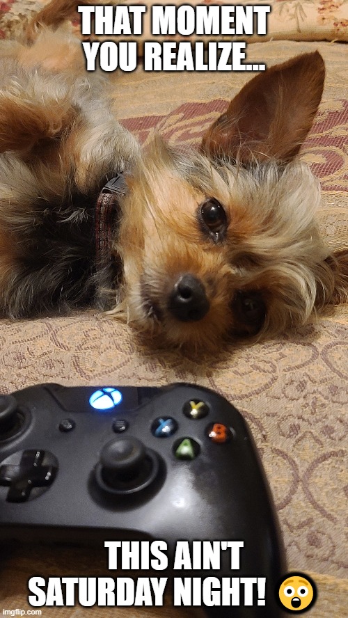 This ain't Saturday | THAT MOMENT YOU REALIZE... THIS AIN'T SATURDAY NIGHT! 😲 | image tagged in video games,dog,surprised | made w/ Imgflip meme maker