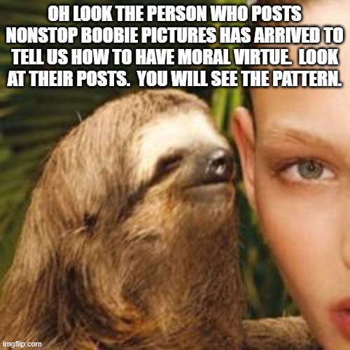rape sloth | OH LOOK THE PERSON WHO POSTS NONSTOP BOOBIE PICTURES HAS ARRIVED TO TELL US HOW TO HAVE MORAL VIRTUE.  LOOK AT THEIR POSTS.  YOU WILL SEE TH | image tagged in rape sloth | made w/ Imgflip meme maker