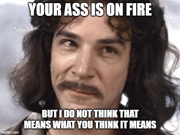 I Do Not Think That Means What You Think It Means | YOUR ASS IS ON FIRE; BUT I DO NOT THINK THAT MEANS WHAT YOU THINK IT MEANS | image tagged in i do not think that means what you think it means | made w/ Imgflip meme maker