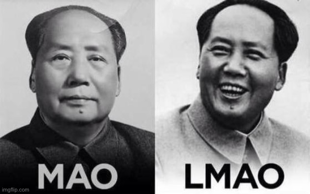 Mao/Lmao | image tagged in mao/lmao | made w/ Imgflip meme maker