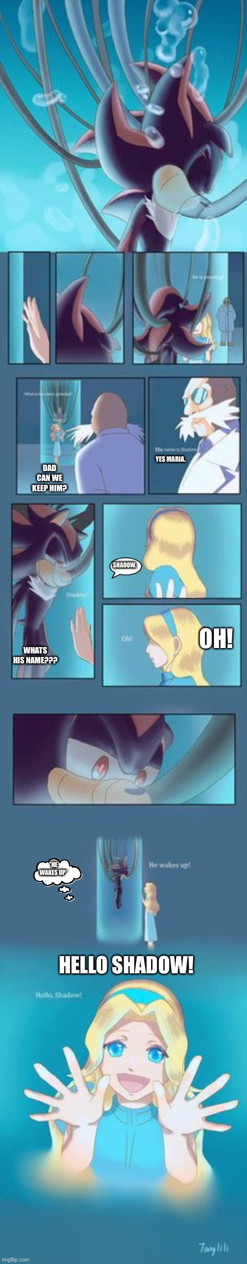 Shadow the hedgehog | YES MARIA. DAD CAN WE KEEP HIM? SHADOW. OH! WHATS HIS NAME??? *HE WAKES UP*; HELLO SHADOW! | image tagged in shadow the hedgehog | made w/ Imgflip meme maker