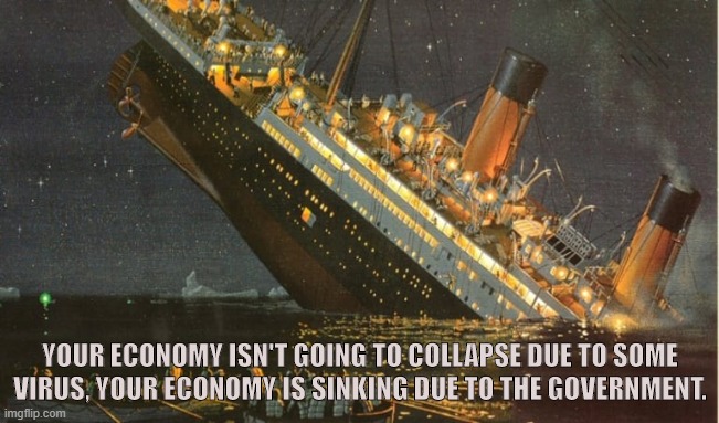 Economic Collapse | YOUR ECONOMY ISN'T GOING TO COLLAPSE DUE TO SOME VIRUS, YOUR ECONOMY IS SINKING DUE TO THE GOVERNMENT. | image tagged in coronavirus,covid-19,trump,economy,business,government | made w/ Imgflip meme maker