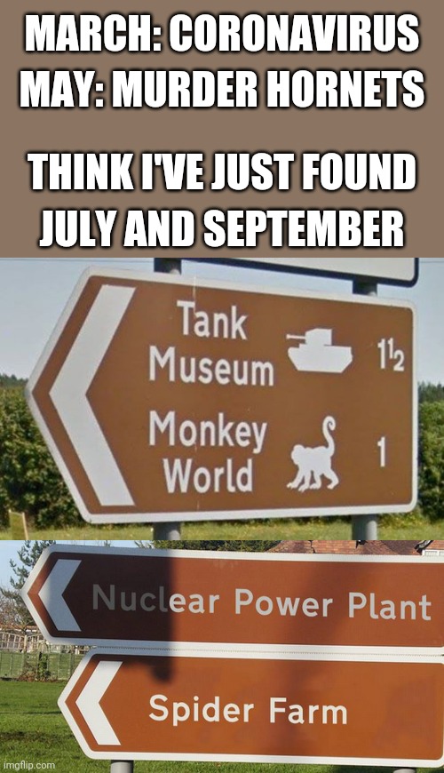 2020 at a glance | MARCH: CORONAVIRUS; MAY: MURDER HORNETS; THINK I'VE JUST FOUND; JULY AND SEPTEMBER | image tagged in memes,funny,covid,spiders,2020,monkeys | made w/ Imgflip meme maker