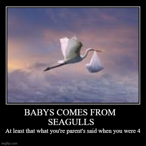 seagulls | image tagged in funny,demotivationals | made w/ Imgflip demotivational maker