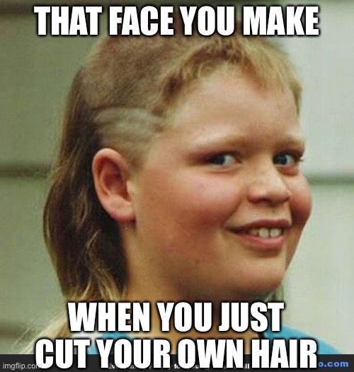 haircut meme | THAT FACE YOU MAKE; WHEN YOU JUST CUT YOUR OWN HAIR | image tagged in haircut meme,quarantine,memes,funny | made w/ Imgflip meme maker