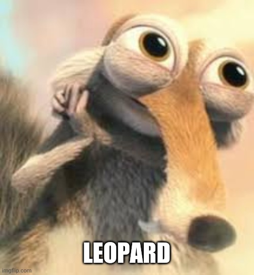 Ice age squirrel in love | LEOPARD | image tagged in ice age squirrel in love | made w/ Imgflip meme maker