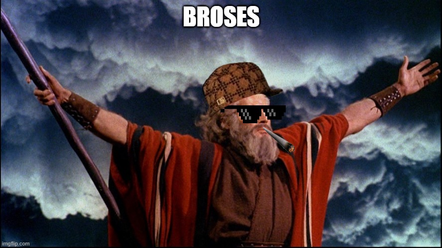 The life of the party | BROSES | image tagged in moses,bro,ten commandments | made w/ Imgflip meme maker