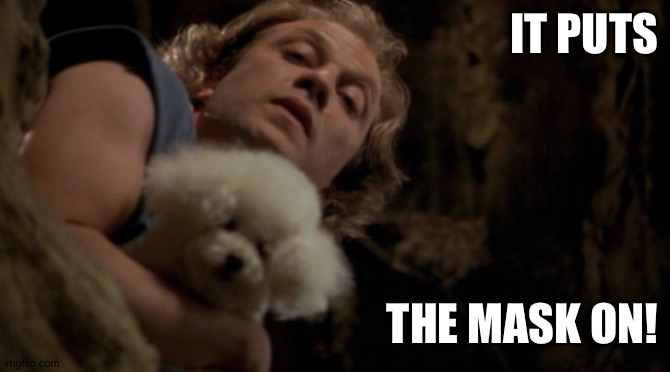 Silence of the lambs lotion | IT PUTS; THE MASK ON! | image tagged in silence of the lambs lotion | made w/ Imgflip meme maker