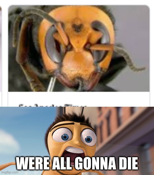 WERE ALL GONNA DIE | image tagged in bee movie | made w/ Imgflip meme maker