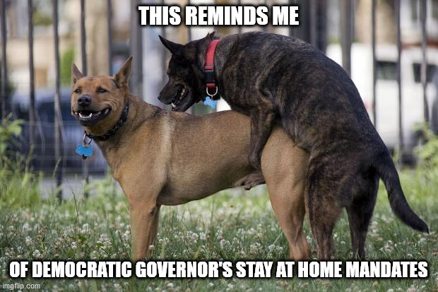 Democrat Governors Coronovirus | THIS REMINDS ME; OF DEMOCRATIC GOVERNOR'S STAY AT HOME MANDATES | image tagged in dogs humping | made w/ Imgflip meme maker