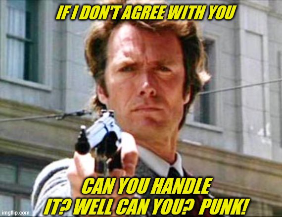 Dirty Harry on facebook | IF I DON'T AGREE WITH YOU; CAN YOU HANDLE IT? WELL CAN YOU?  PUNK! | image tagged in dirty harry | made w/ Imgflip meme maker