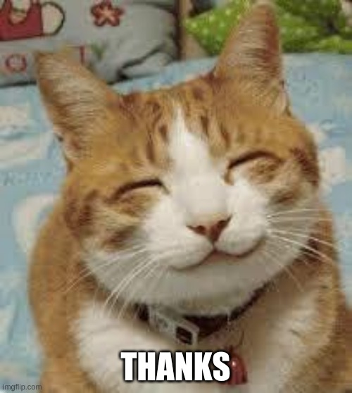 Happy cat | THANKS | image tagged in happy cat | made w/ Imgflip meme maker