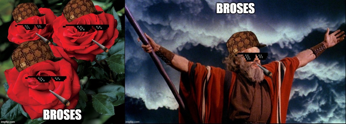 You must choose one and only one.... Happy Mother's Day | image tagged in moses,roses,bro | made w/ Imgflip meme maker