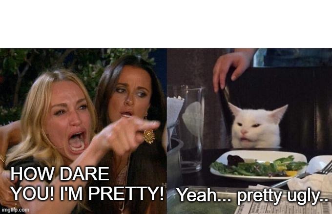 Cat calls lady ugly | HOW DARE YOU! I'M PRETTY! Yeah... pretty ugly.. | image tagged in memes,woman yelling at cat | made w/ Imgflip meme maker