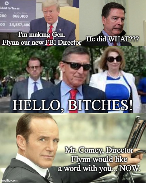 In my DREAM world... | I'm making Gen. Flynn our new FBI Director; He did WHAT??? HELLO, BITCHES! Mr. Comey, Director Flynn would like a word with you... NOW. | image tagged in president trump,fbi,conservatives,michael flynn,james comey,maga | made w/ Imgflip meme maker