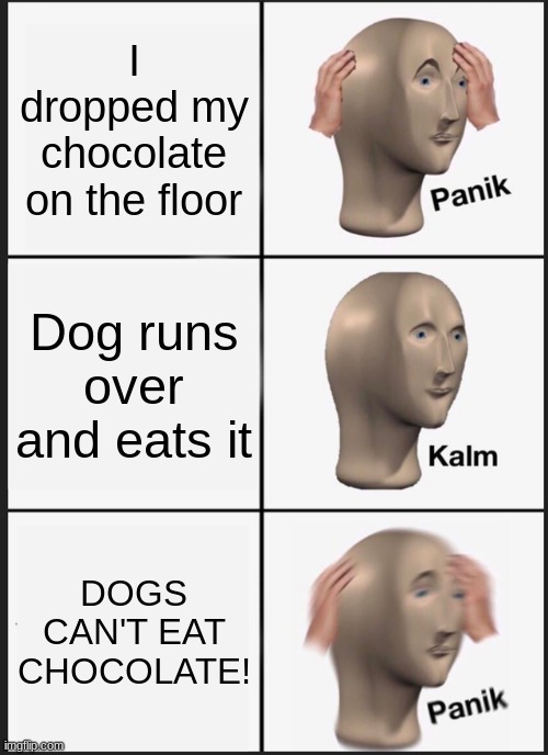 Panik Kalm Panik | I dropped my chocolate on the floor; Dog runs over and eats it; DOGS CAN'T EAT CHOCOLATE! | image tagged in memes,panik kalm panik | made w/ Imgflip meme maker