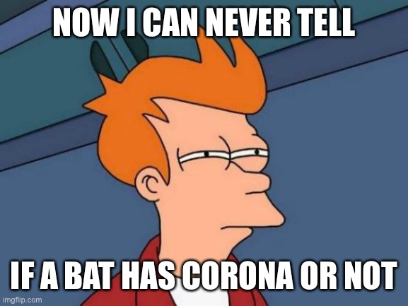 Futurama Fry | NOW I CAN NEVER TELL; IF A BAT HAS CORONA OR NOT | image tagged in memes,futurama fry | made w/ Imgflip meme maker