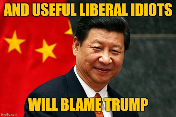 Xi Jinping | AND USEFUL LIBERAL IDIOTS WILL BLAME TRUMP | image tagged in xi jinping | made w/ Imgflip meme maker