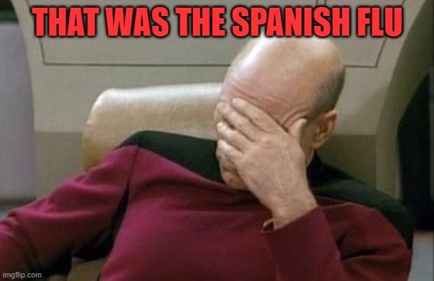 Captain Picard Facepalm Meme | THAT WAS THE SPANISH FLU | image tagged in memes,captain picard facepalm | made w/ Imgflip meme maker
