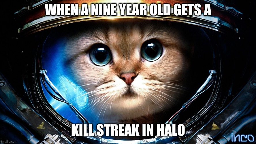 HALO Cat | WHEN A NINE YEAR OLD GETS A; KILL STREAK IN HALO | image tagged in halo cat,halo,kids,video games,games,cat | made w/ Imgflip meme maker