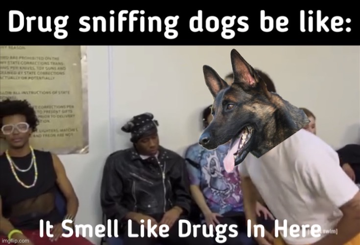 image tagged in memes,meme,dogs,police,drugs,police dogs | made w/ Imgflip meme maker