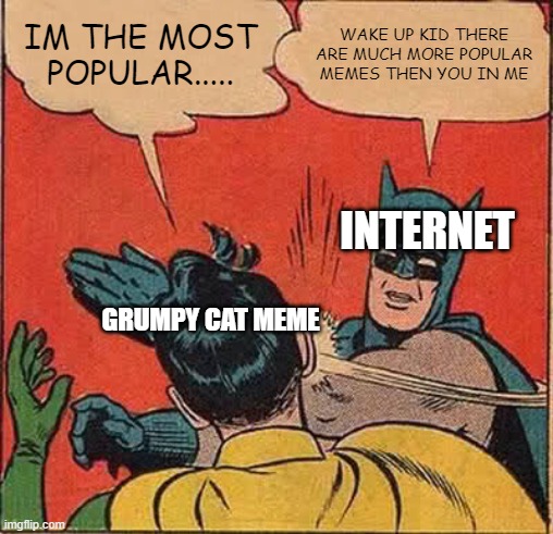 Batman Slapping Robin Meme | IM THE MOST POPULAR..... WAKE UP KID THERE ARE MUCH MORE POPULAR MEMES THEN YOU IN ME; INTERNET; GRUMPY CAT MEME | image tagged in memes,batman slapping robin | made w/ Imgflip meme maker