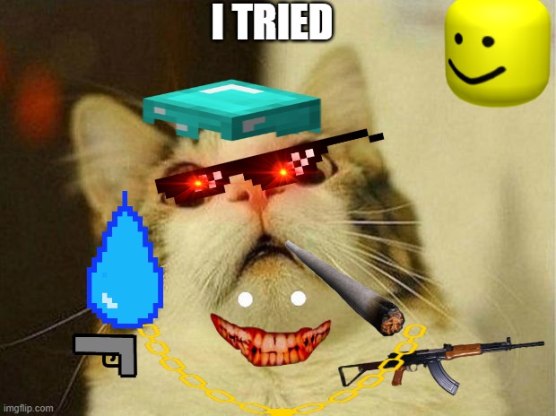 Scared Cat | I TRIED | image tagged in memes,scared cat | made w/ Imgflip meme maker