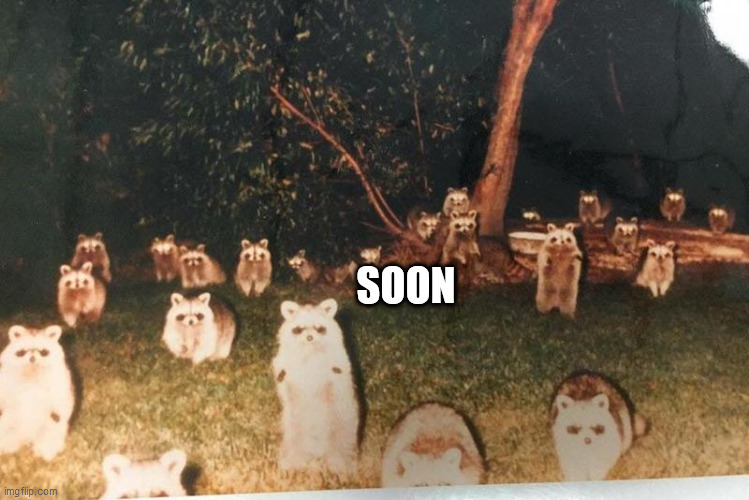 coons | SOON | image tagged in coons | made w/ Imgflip meme maker