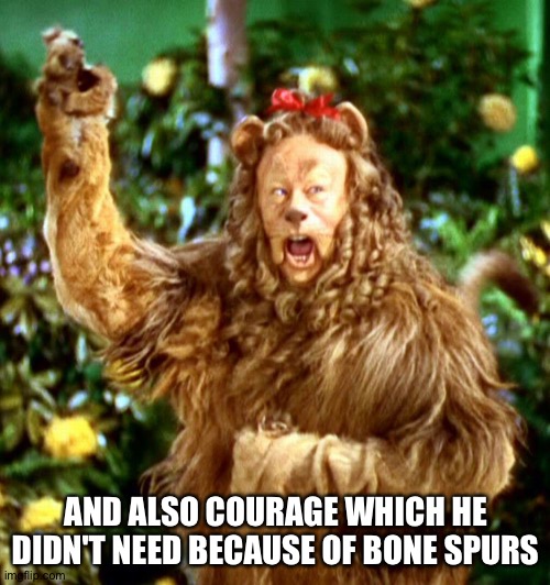 Cowardly Lion | AND ALSO COURAGE WHICH HE DIDN'T NEED BECAUSE OF BONE SPURS | image tagged in cowardly lion | made w/ Imgflip meme maker