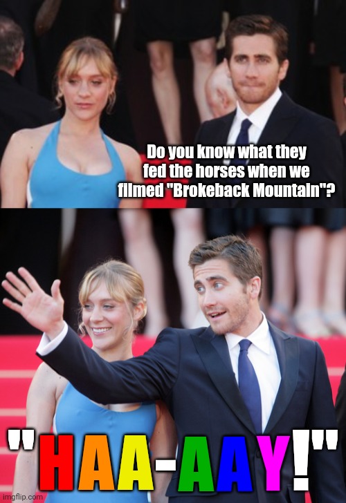 Or so I've heard. | Do you know what they fed the horses when we filmed "Brokeback Mountain"? -; "                   !"; Y; H; A; A; A; A | image tagged in brokeback mountain,memes,jake gyllenhaal and cloe sevigny at cannes,horses | made w/ Imgflip meme maker