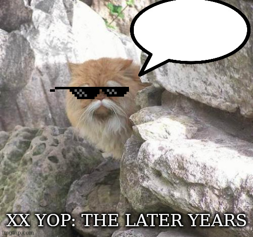 Old cat |  XX YOP: THE LATER YEARS | image tagged in old cat | made w/ Imgflip meme maker