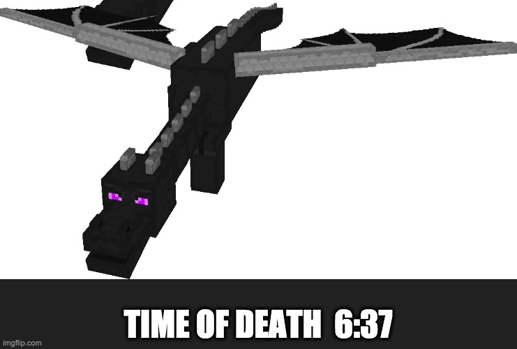 Ender dragon | TIME OF DEATH  6:37 | image tagged in ender dragon | made w/ Imgflip meme maker