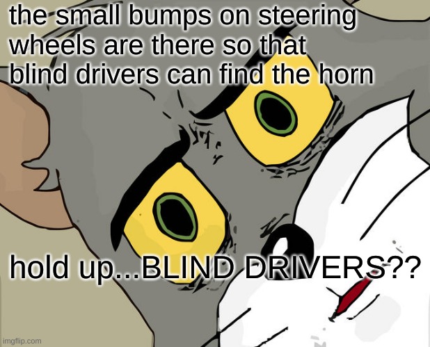 Unsettled Tom Meme | the small bumps on steering wheels are there so that blind drivers can find the horn; hold up...BLIND DRIVERS?? | image tagged in memes,unsettled tom | made w/ Imgflip meme maker