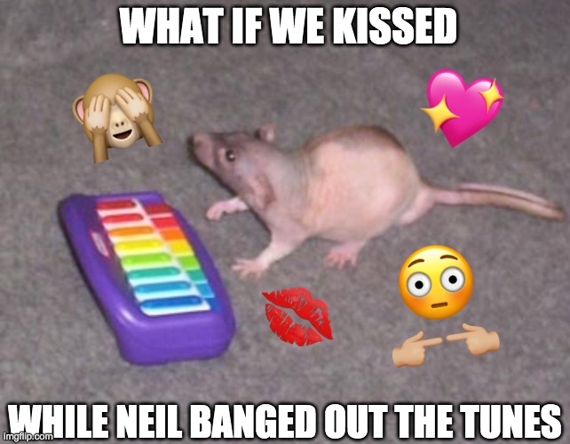 what if we kissed while neil was banging out the tunes? Imgflip