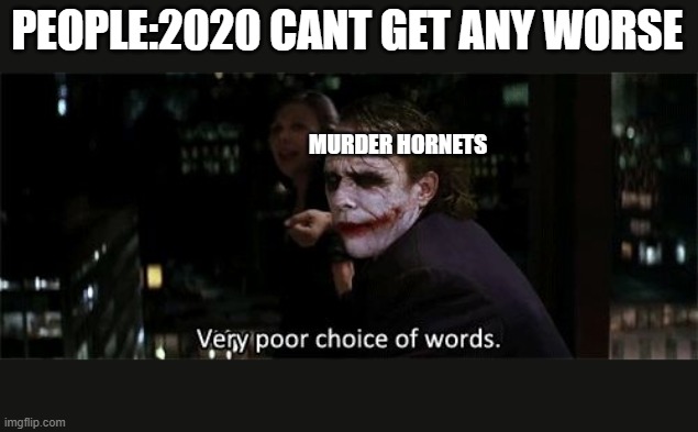 Very poor choice of words | PEOPLE:2020 CANT GET ANY WORSE; MURDER HORNETS | image tagged in very poor choice of words | made w/ Imgflip meme maker