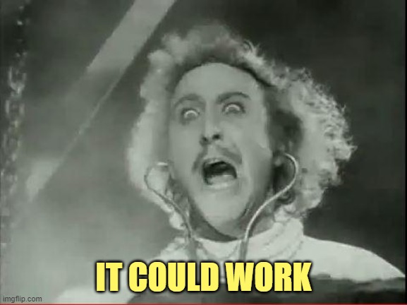 Young Frankenstein | IT COULD WORK | image tagged in young frankenstein | made w/ Imgflip meme maker