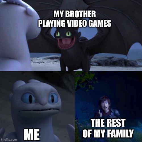 night fury | MY BROTHER PLAYING VIDEO GAMES; ME; THE REST OF MY FAMILY | image tagged in night fury | made w/ Imgflip meme maker